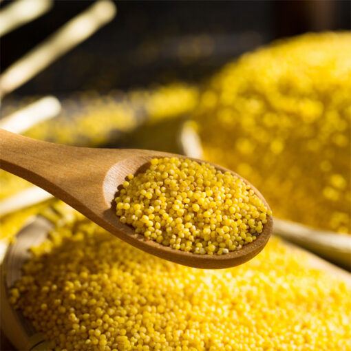 Millet - Image 2