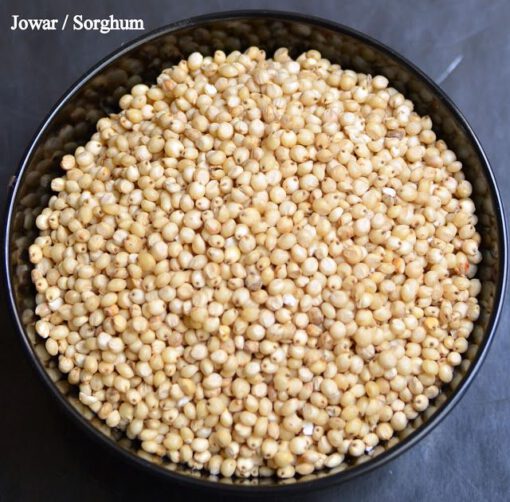 Sorghum - Image 2