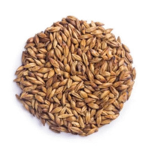 Barley