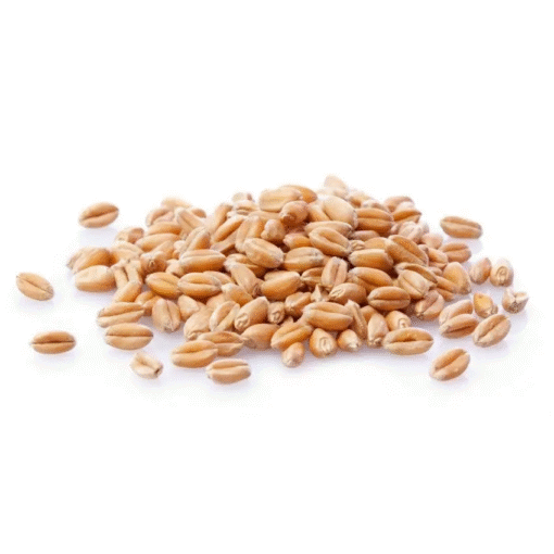 Wheat (hard, soft, durum)