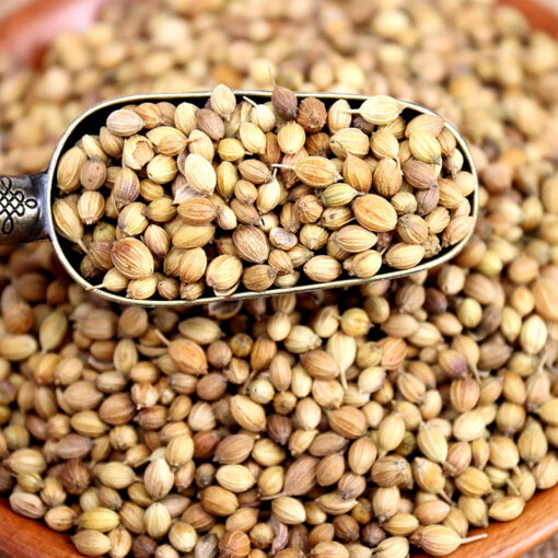 Coriander - Image 3