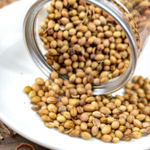 Coriander
