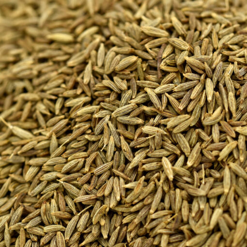 Cumin - Image 2