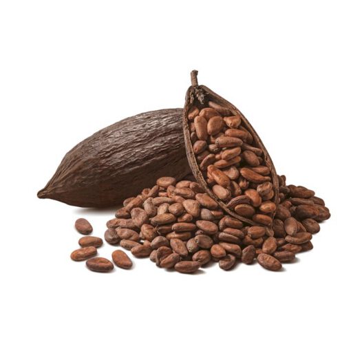 Cocoa Bean Types for Trade (Forastero, Criollo, Trinitario) - Image 3