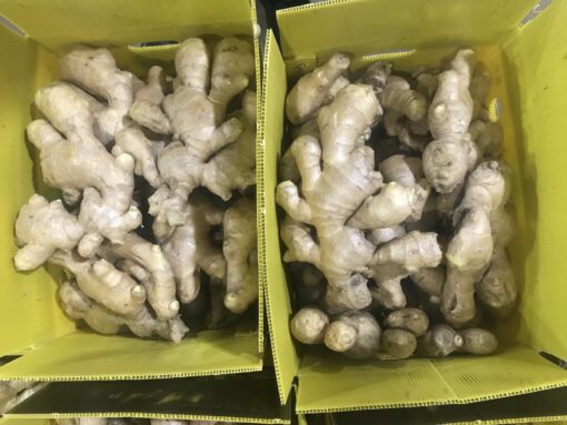 Ginger (whole, powder) - Image 2