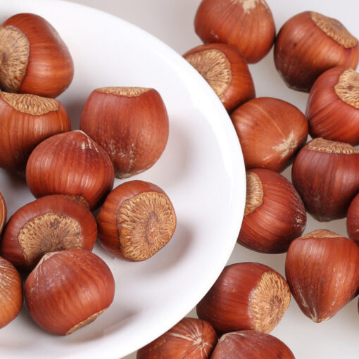 Hazelnuts - Image 4