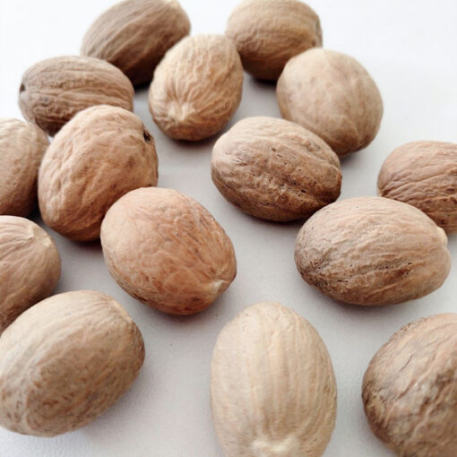 Nutmeg - Image 4