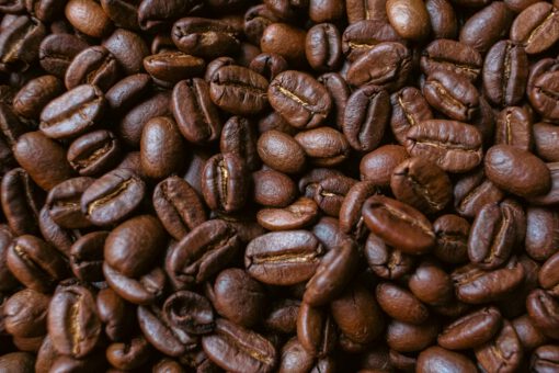 Robusta - Image 2