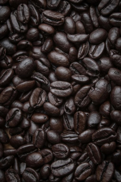 Robusta - Image 3