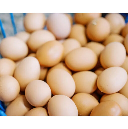 Table eggs (white/brown, graded) - Image 3