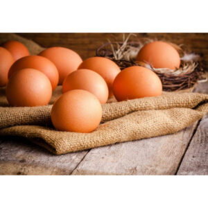 Table eggs (white/brown, graded)
