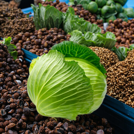 Potatoes, carrots, cabbage - Image 4